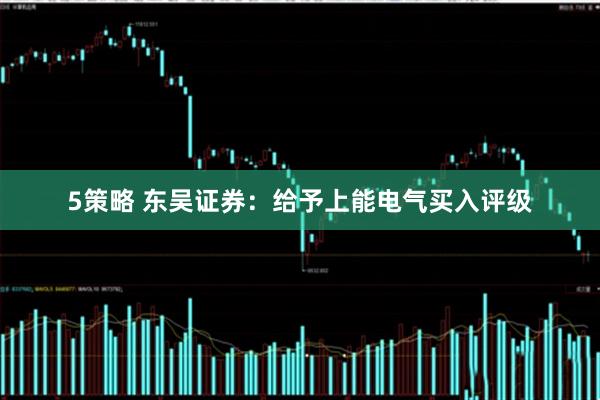5策略 东吴证券：给予上能电气买入评级