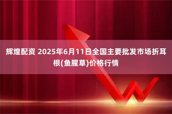 辉煌配资 2025年6月11日全国主要批发市场折耳根(鱼腥草)价格行情